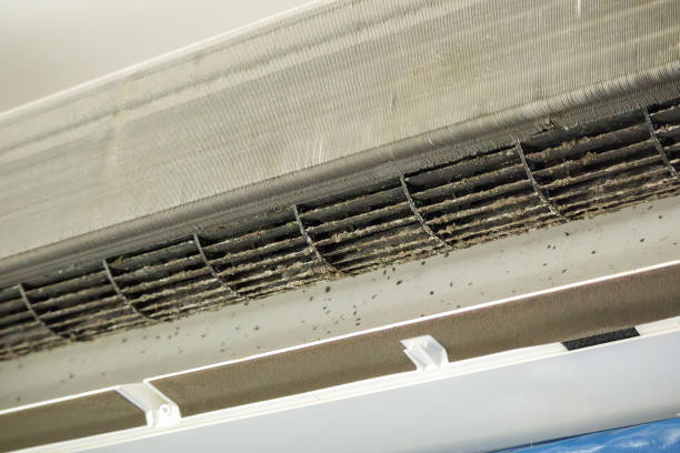 Best Local Air Duct Cleaning Services  in Newport, OH