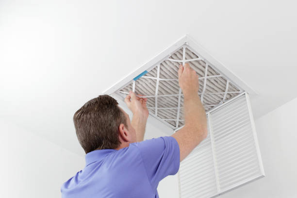 Best Home Air Vent Cleaning  in Newport, OH